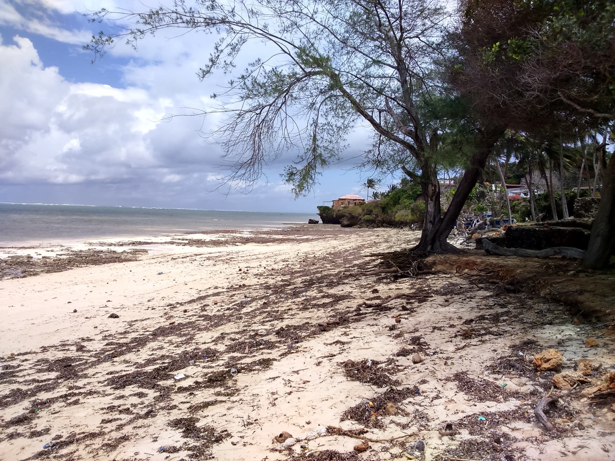 The beach at the Jumba la Mtwana ruins on the coast