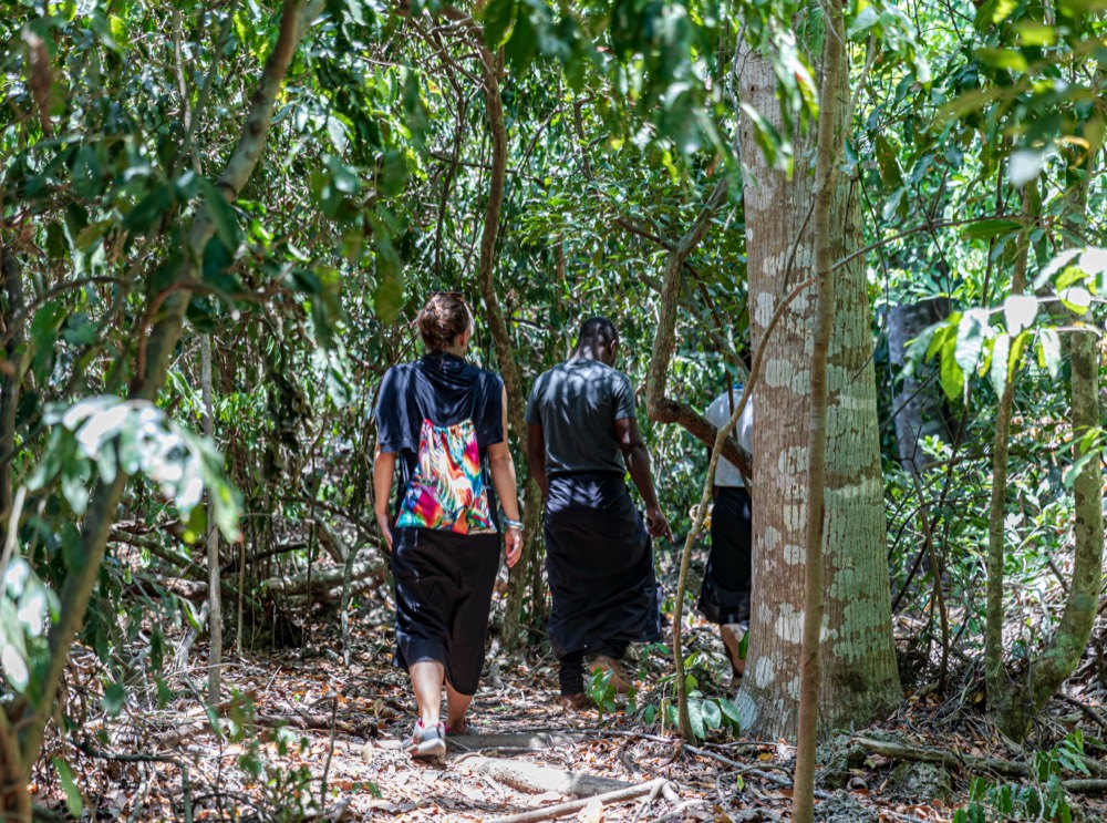Kaya Forests