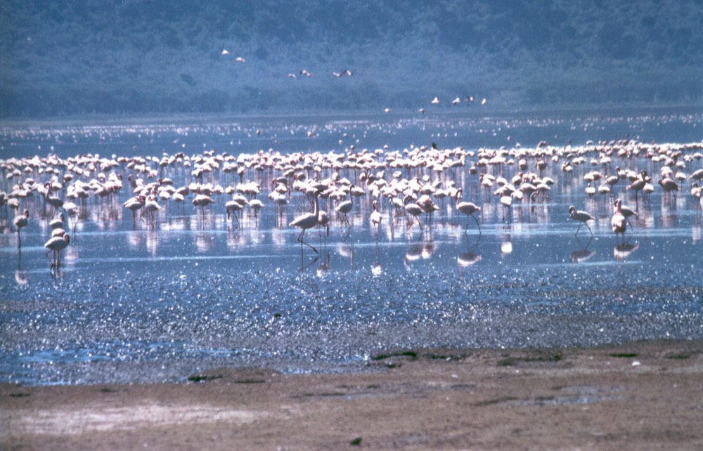 Kenya Lake System